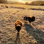 Taattisten Tila - Taattinen Farm And