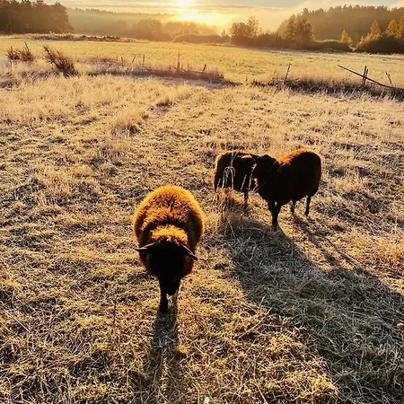 Taattisten Tila - Taattinen Farm And