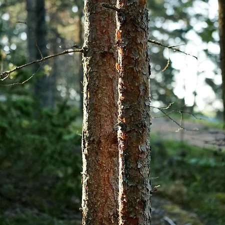 Lantgård Taattisten Tila - Taattinen Farm And
