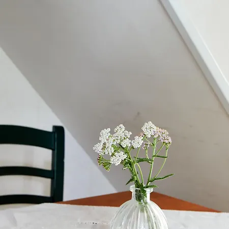 Taattisten Tila - Taattinen Farm And Feriegård