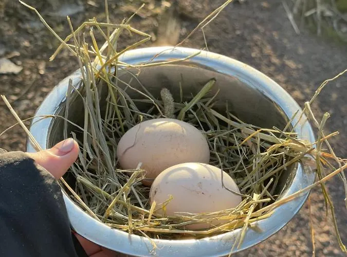 Taattisten Tila - Taattinen Farm And *