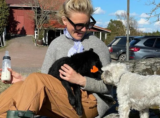 Taattisten Tila - Taattinen Farm And *